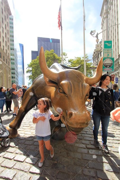 華爾街銅牛 Charging Bull