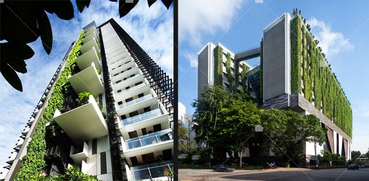 新加坡Newton Suites牛頓公寓、School of the Arts藝術學院，都可以看到垂直通天的綠色植栽牆。圖片引用自WOHA建築事務所官網。
